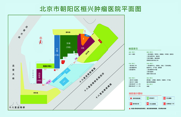 台湾操逼网北京市朝阳区桓兴肿瘤医院平面图